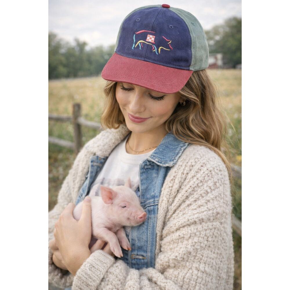 Vintage Purina Farms Pig Embroidered Colorblock Snapback Farmcore Americana Hat